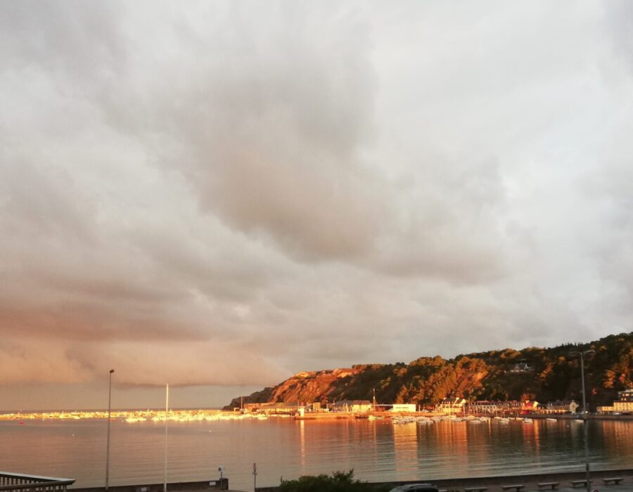 IMG_20201016_084805 (2)